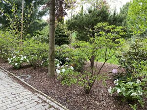 IMG_4654.jpeg
