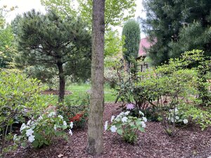 IMG_4656.jpeg