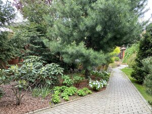 IMG_4662.jpeg