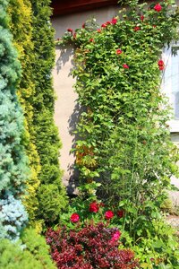 IMG_7864.JPG