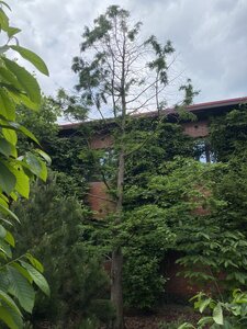 IMG_5088.jpeg