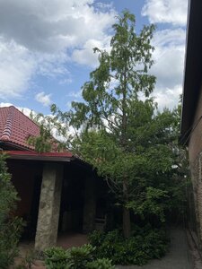 IMG_5080.jpeg