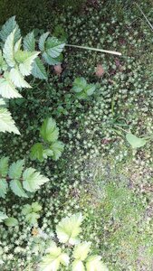 20250624_113005.jpg