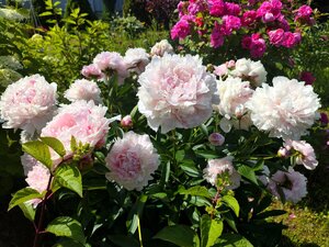 IMG_20250629_113913.jpg