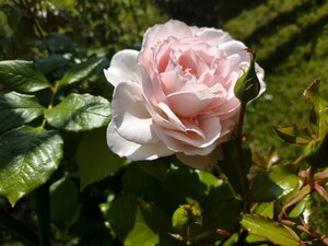 IMG_20250629_113851.jpg