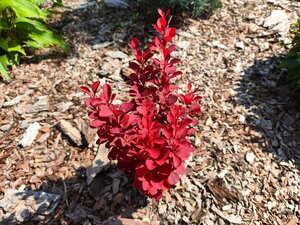 IMG_20250630_012311.jpg