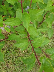 20250706_112749.jpg