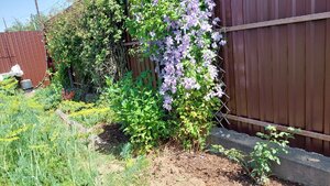 20250711_130601.jpg