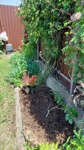 20250711_130009.jpg
