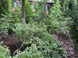 IMG_5451.jpeg