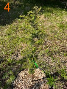 IMG_5052.jpeg