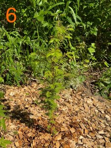 IMG_5431.jpeg
