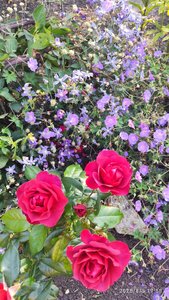 IMG_20250805_175815.jpg