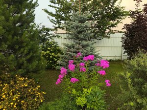 IMG_20250803_192856.jpg