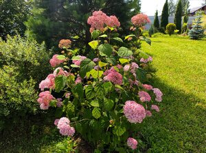 IMG_20250715_230423.jpg