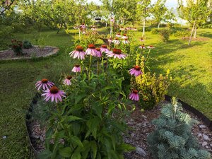 IMG_20250803_174744.jpg