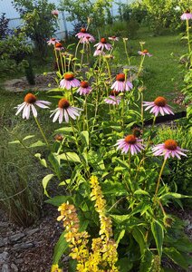 IMG_20250803_201135.jpg