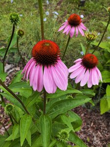 IMG_20250803_201343.jpg