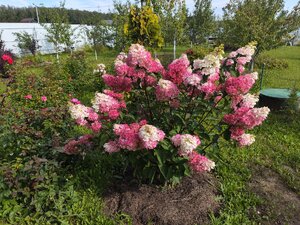 IMG_20250816_092911.jpg