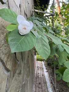 IMG_5635.jpeg