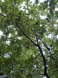 IMG_5581.jpeg