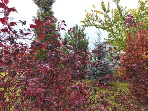 IMG_20251018_143301.jpg