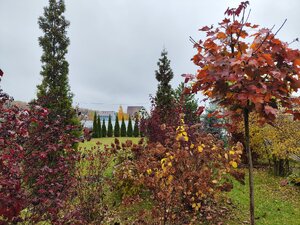 IMG_20251018_143242.jpg