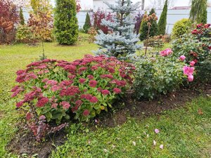 IMG_20251018_143132.jpg