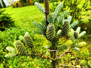 IMG_20250823_221112.jpg