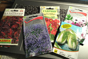 семена.jpg