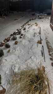 20251224_225257.jpg