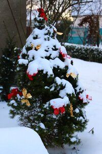 IMG_8181.JPG