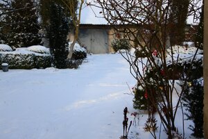 IMG_8218.JPG