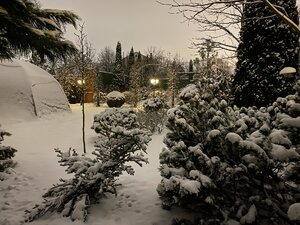 IMG_6613.jpeg