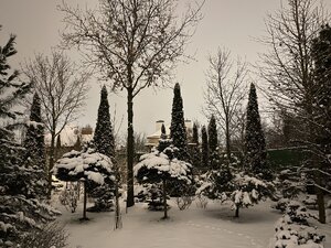 IMG_6604.jpeg