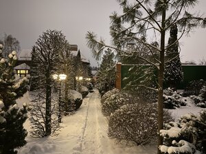 IMG_6596.jpeg