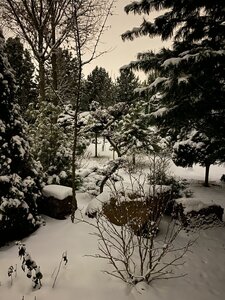 IMG_6597.jpeg