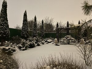 IMG_6595.jpeg