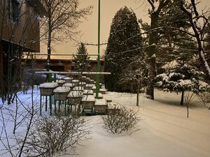 IMG_6609.jpeg