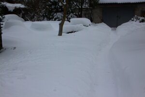 IMG_8223.JPG