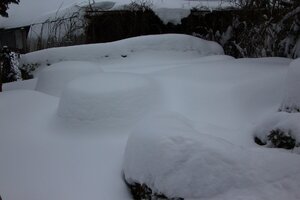 IMG_8228.JPG