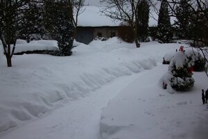 IMG_8235.JPG