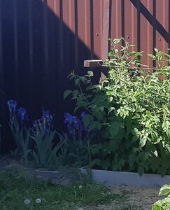 20180601_161629.jpg