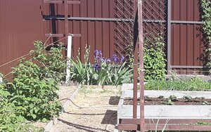20180601_162025.jpg