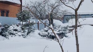 20260202_102549.jpg