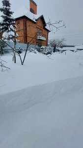 20260202_102609.jpg