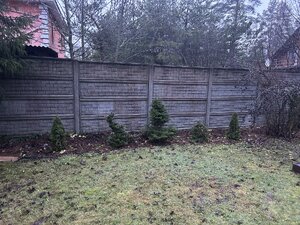 IMG_8083.jpeg