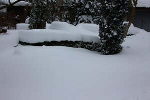 IMG_8234.JPG