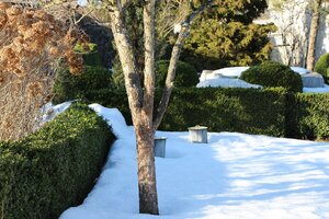 IMG_8334.JPG
