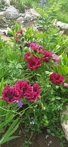2ad0aa51-4c0d-4011-b419-32366cbe8f56.jpg